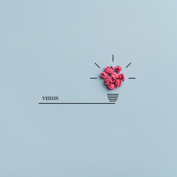 Vision and paper roses