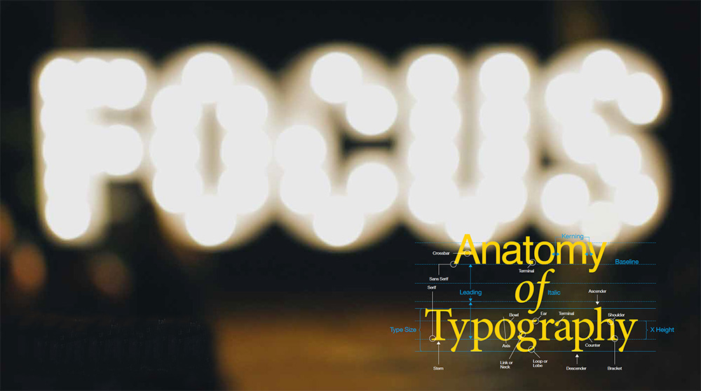 Anatomy of Typography